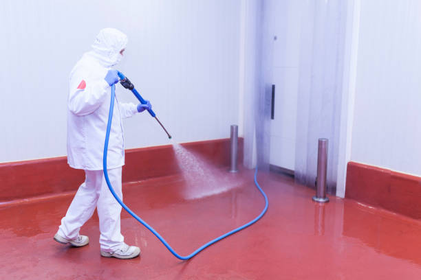 Best Driveway Pressure Washing  in Burgin, KY